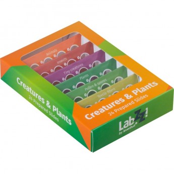 Набор микропрепаратов LEVENHUK LabZZ CP24, существа и растения